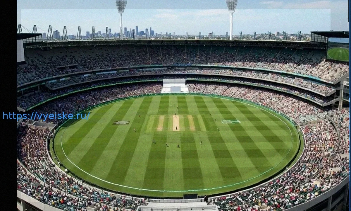 Кубок Южной Африки 2026: Прогноз на матч Warriors против North West Dragons