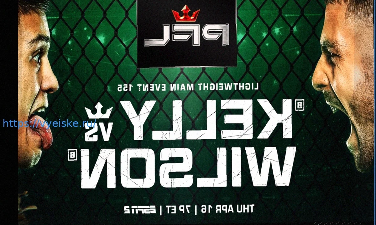 PFL Belfast: Результаты боев и яркие моменты с поединка Келли против Уилсона